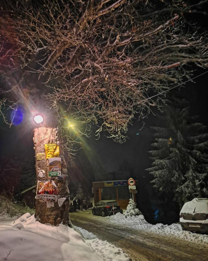 Vikendica Ceperkovic #3 Villa Kopaonik Kültér fotó